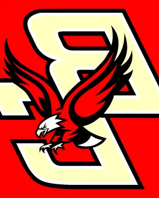 Boston College Eagles Notre Dame