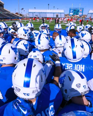 Buffalo Bulls Buffalo
