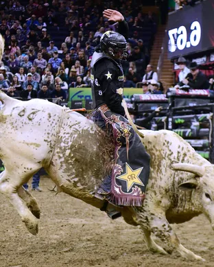 Bull Riding Medina