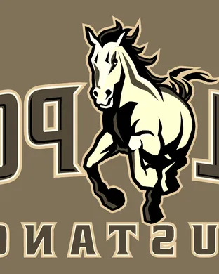 Cal Poly Mustangs San Jose