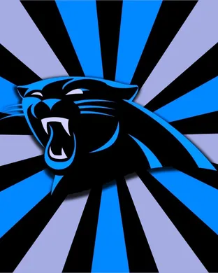 Carolina Panthers Canton