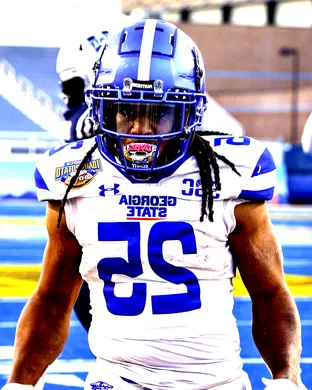 Georgia State Panthers Football Harrisonburg