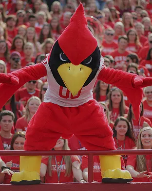 Illinois State Redbirds Youngstown