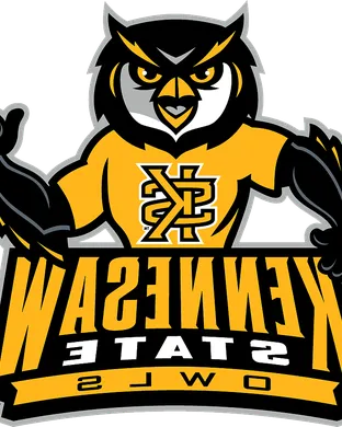 Kennesaw State Owls Jonesboro