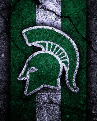 Michigan State Spartans Football Notre Dame