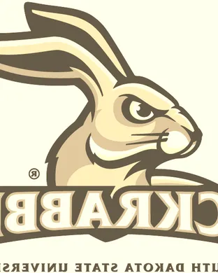 South Dakota State Jackrabbits Football Brookings