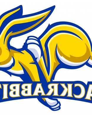 South Dakota State Jackrabbits Brookings