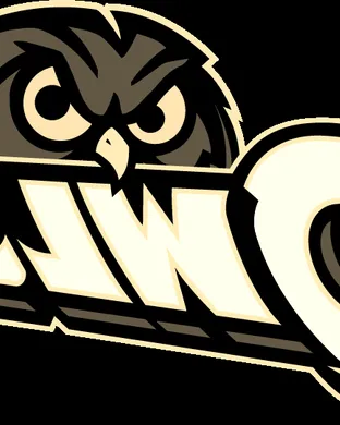 Temple Owls Football Tampa