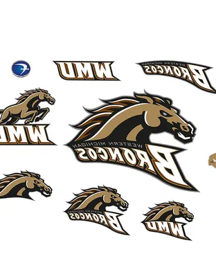 Western Michigan Broncos Ann Arbor