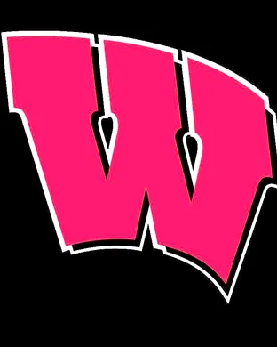 Wisconsin Badgers Football Green Bay