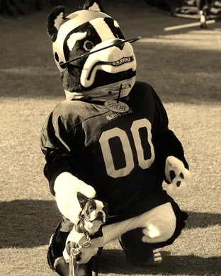Wofford Terriers Football Kent