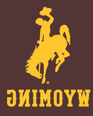 Wyoming Cowboys Football San Jose
