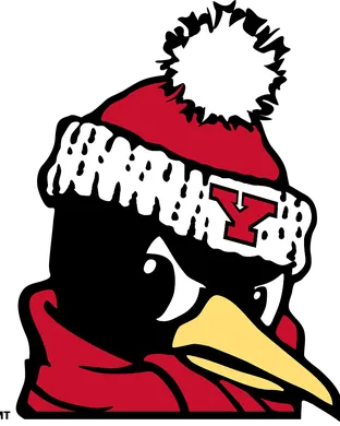 Youngstown State Penguins Youngstown