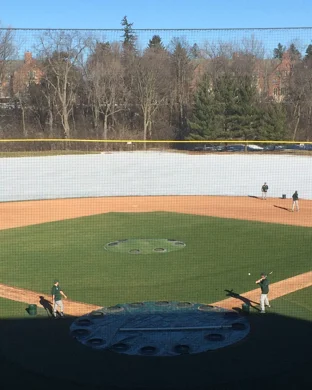 Ohio State Buckeyes Softball Columbus