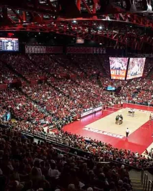 Memphis Tigers Volleyball Memphis